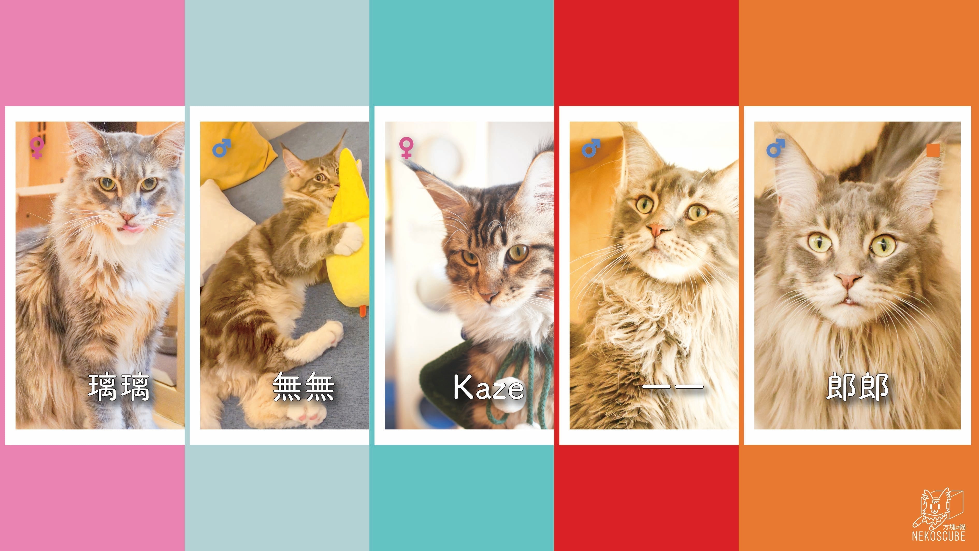 🟢 Kaze 家｜風之律動