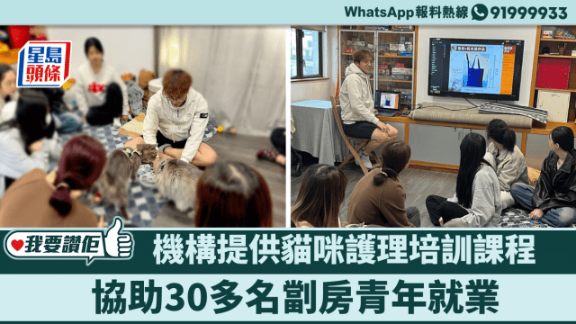 星島頭條 | 我要讚佢 | 提供貓咪護理培訓課程 助30多名劏房青年就業
