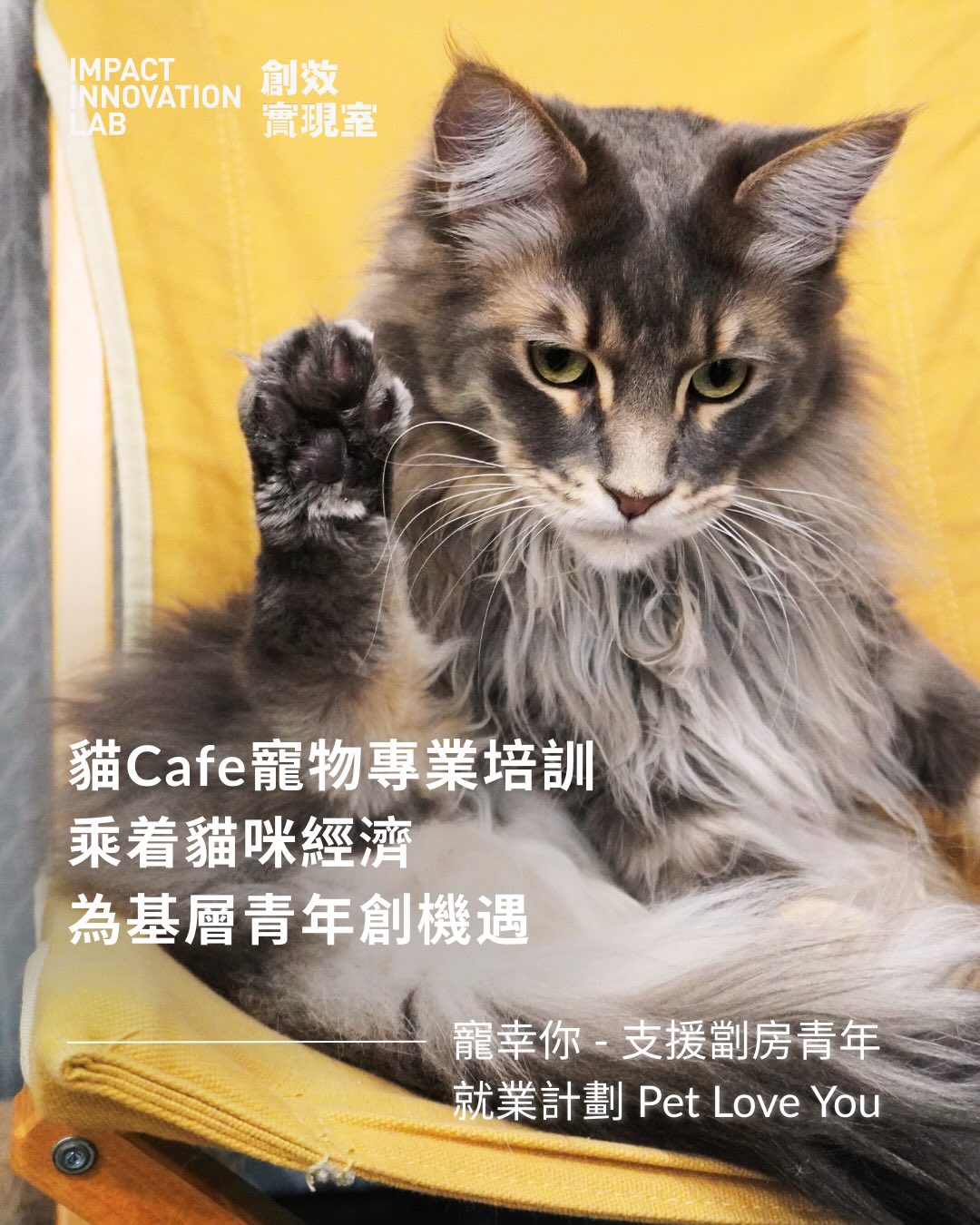 Impact Innovation Lab 創效實現室