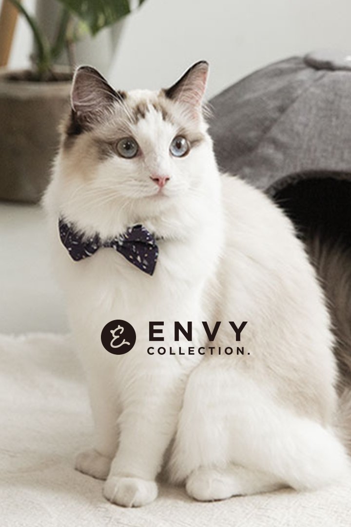 ENVY COLLECTION 玩具&頸圈