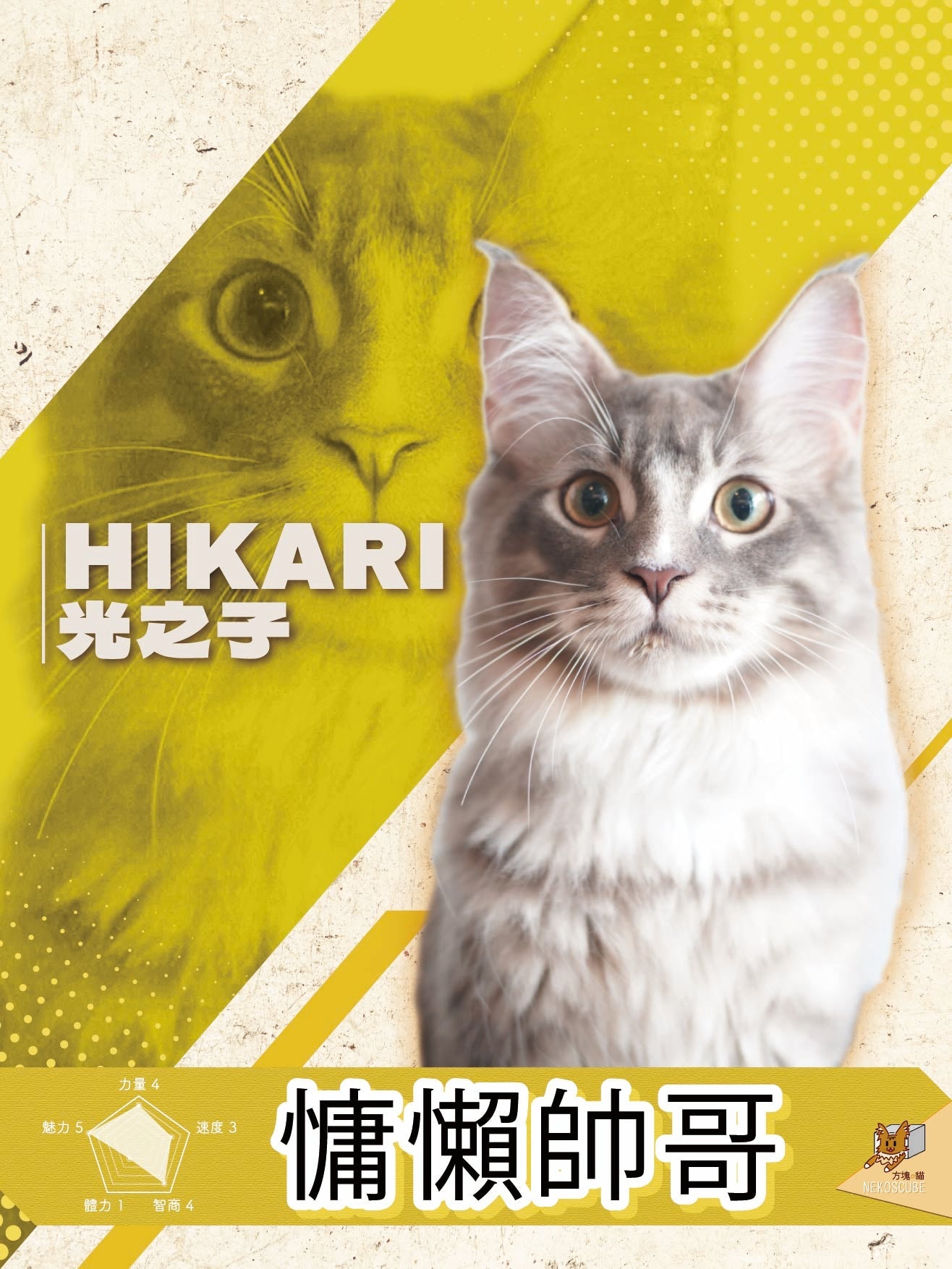 貓貓貓貓