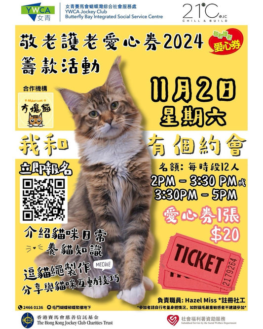 籌款活動 - Nekos Cube 方塊貓 | 荃灣貓Cafe