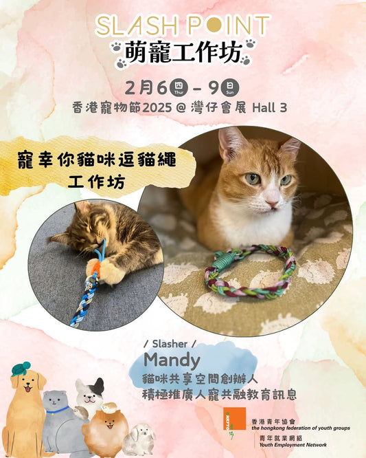 萌寵互作坊 - Nekos Cube 方塊貓 | 荃灣貓Cafe