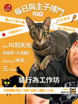 Nekoscube 貓行為工作坊 - Nekos Cube 方塊貓 | 荃灣貓Cafe