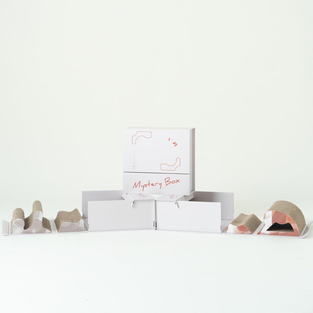 Pettellyava Mystery Scratch Box盲 盒貓抓板 - Nekos Cube 方塊貓 | 荃灣貓Cafe