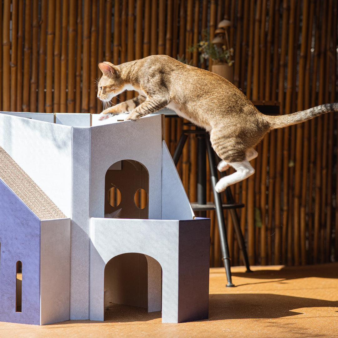 Pettellyava Mini Cat Mansion 摺疊式貓屋 - Nekos Cube 方塊貓 | 荃灣貓Cafe