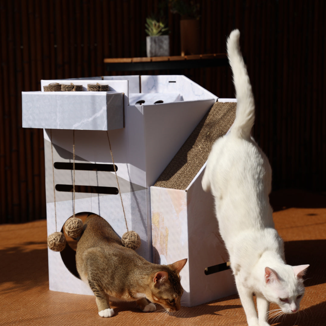 Pettellyava Mini Cat Mansion 摺疊式貓屋 - Nekos Cube 方塊貓 | 荃灣貓Cafe