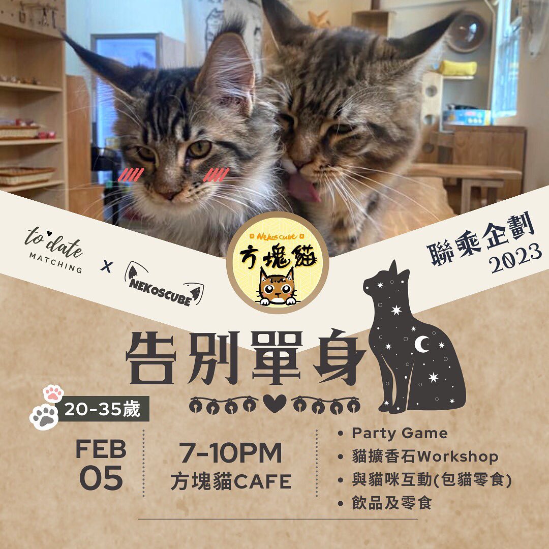 告別單身貓 - Nekos Cube 方塊貓 | 荃灣貓Cafe