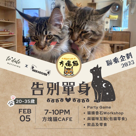 告別單身貓 - Nekos Cube 方塊貓 | 荃灣貓Cafe