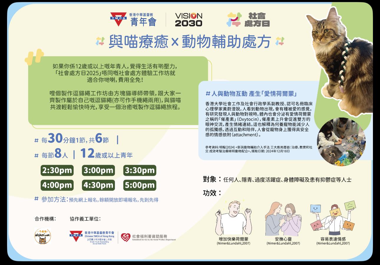 與喵療癒X動物輔助處方 - Nekos Cube 方塊貓 | 荃灣貓Cafe