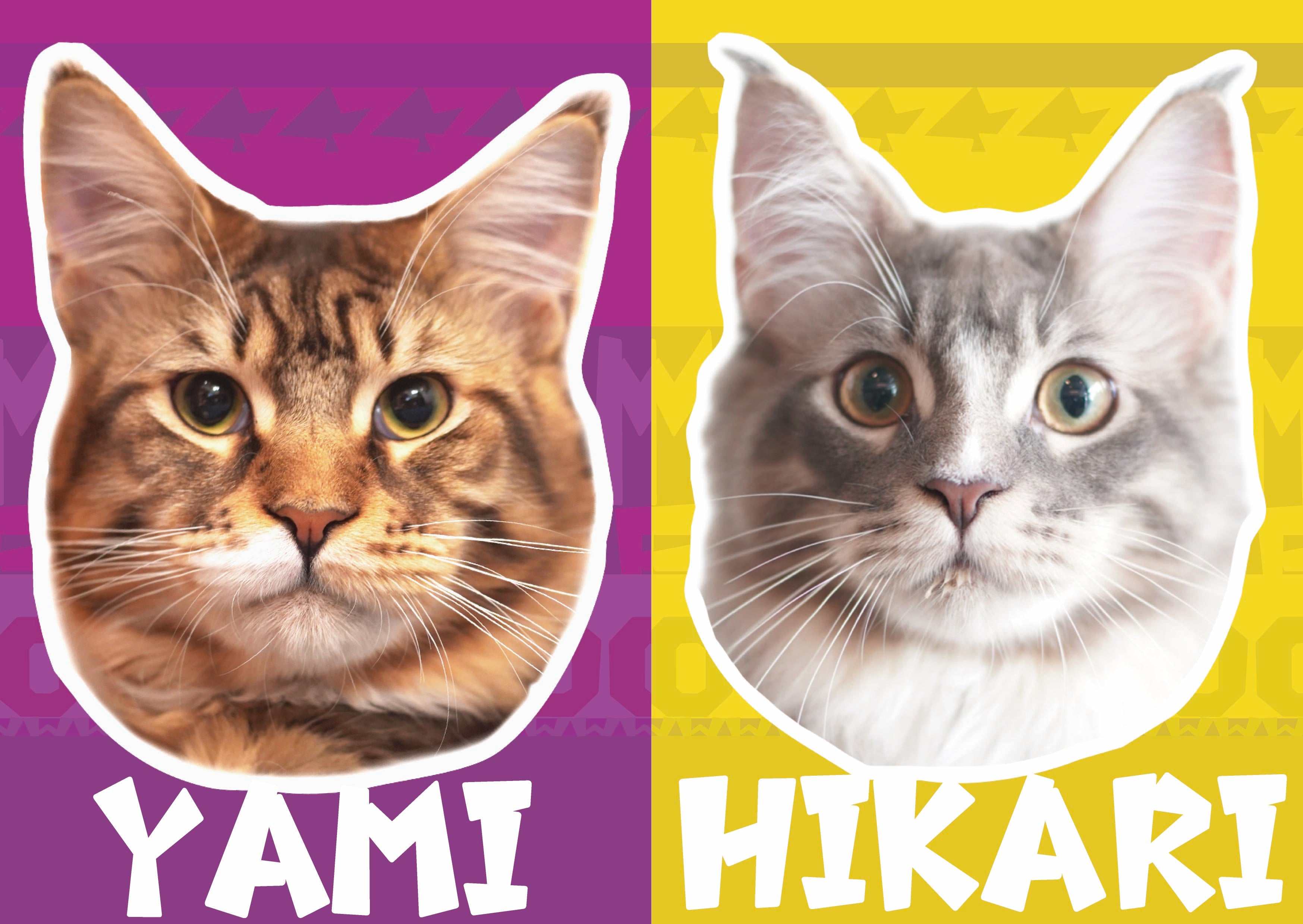 Hero Banner Image 500x500