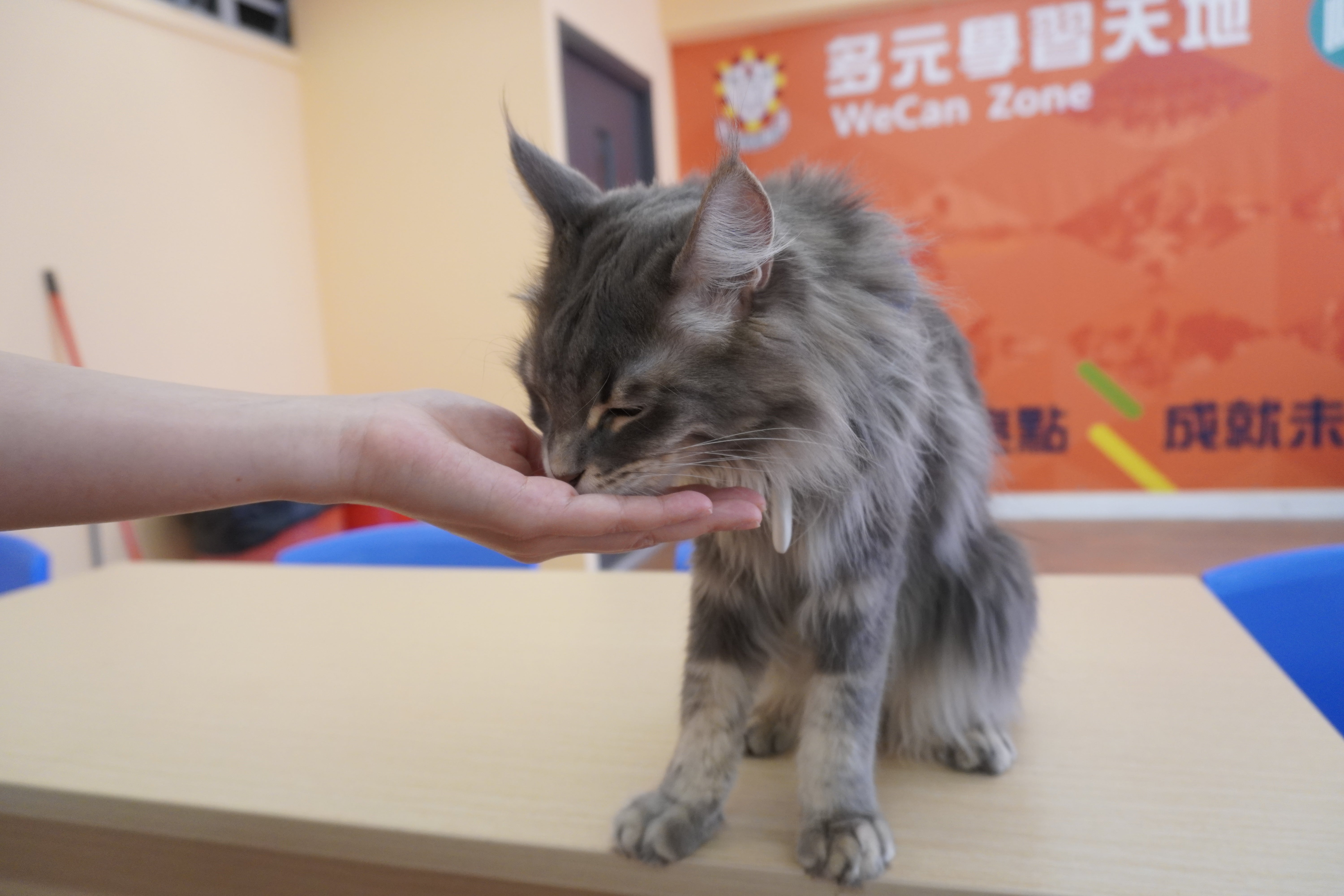 About Banner Image 500x500