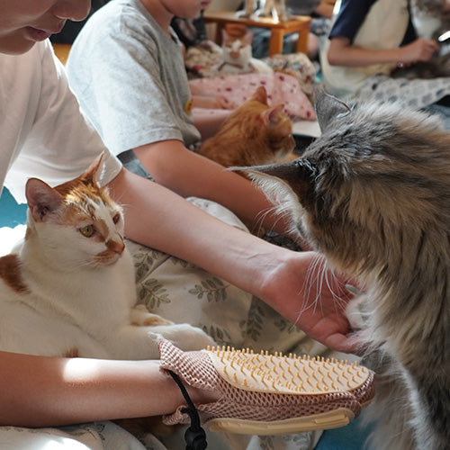 Hero Banner Image 500x500