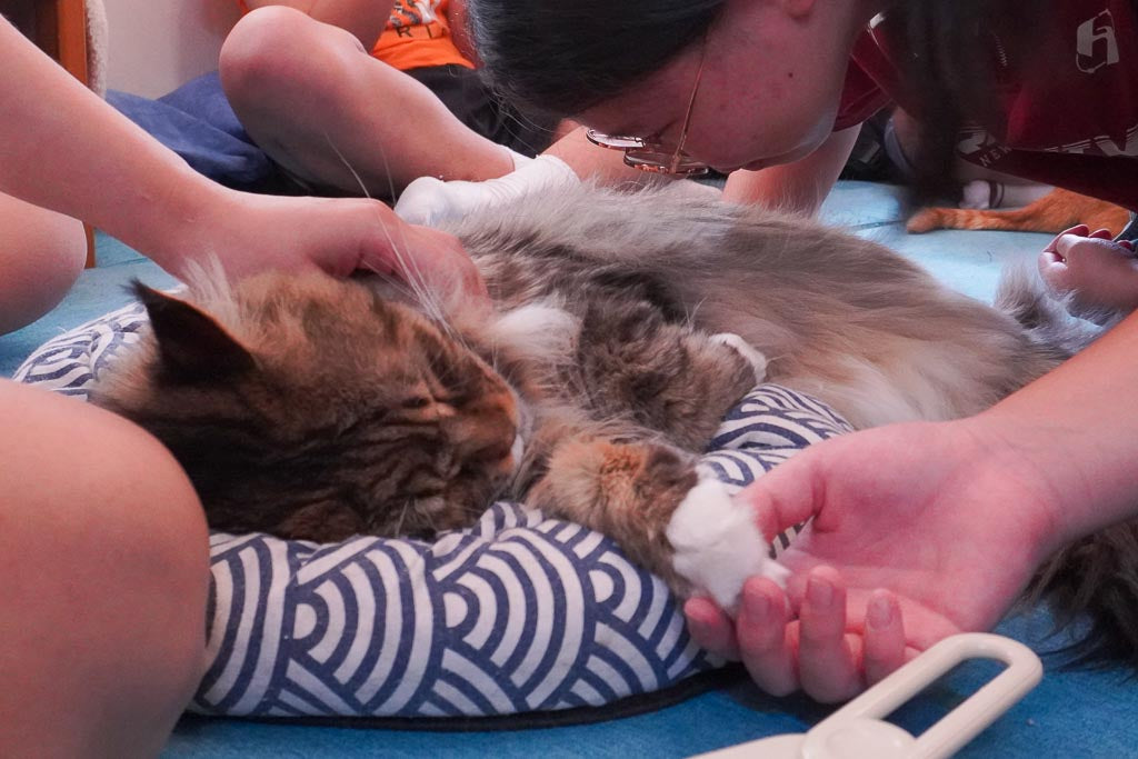 About Banner Image 500x500