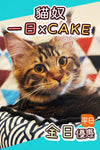 【貓奴x蛋糕日票】 - Nekos Cube 方塊貓 | 荃灣貓Cafe